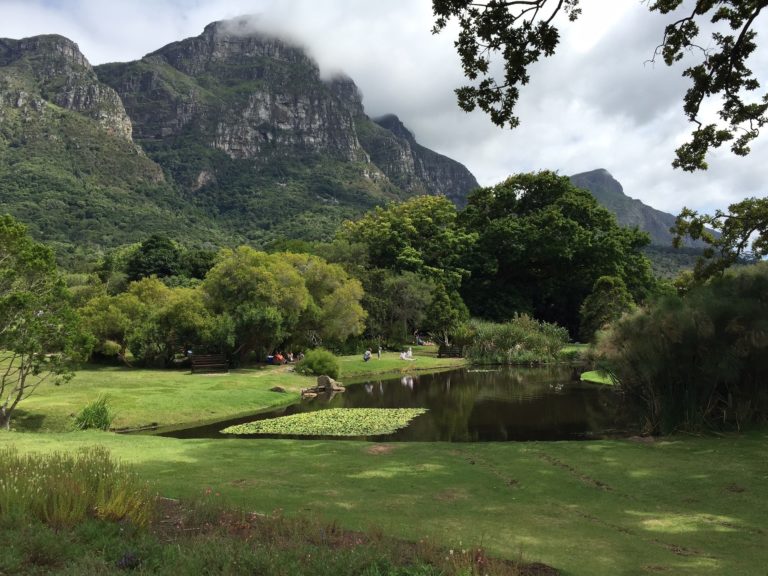 Voyage au Cap-Vert : jardin botanique et son point d'eau Akaoka