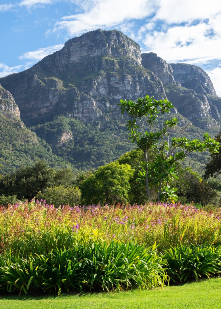 Voyage Cap-Vert : jardin botanique et montagnes Akaoka