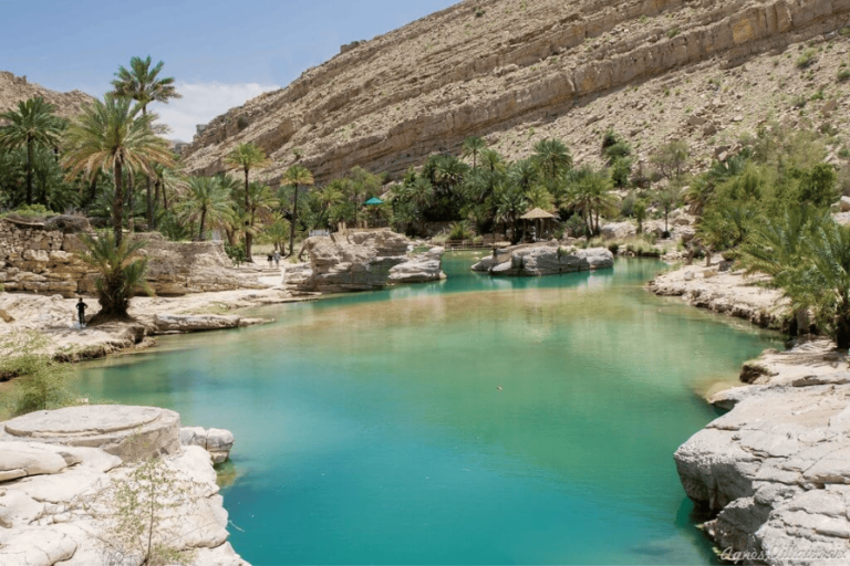 Visite Oman: Randonnée et visite d'une magnifique oasis entourée de verdures dans le désert omanais.