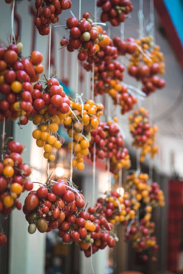 Voyage aux Cyclades gastronomie tomates Akaoka