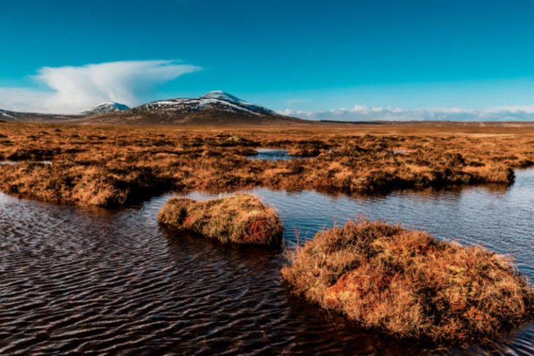 Trekking Highlands: Marécages écossais