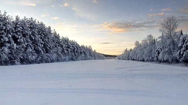 Séjour chien de traîneaux au Neige en Laponie suédoise