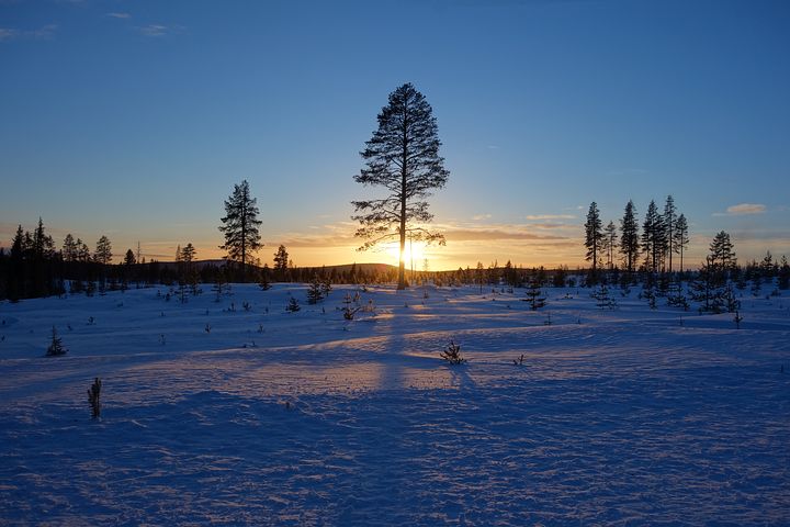 Randonnée Suède: Paysage de la neige en Laponie au lever du soleil