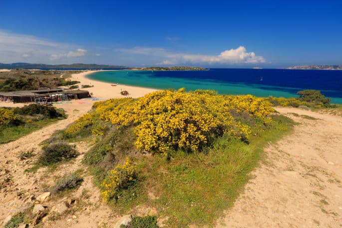 Voyage Sardaigne plage paradisiaque Akaoka