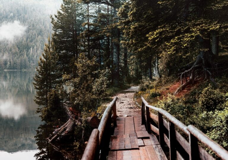 Trek Monténégro pont dans le parc national des Durmitor