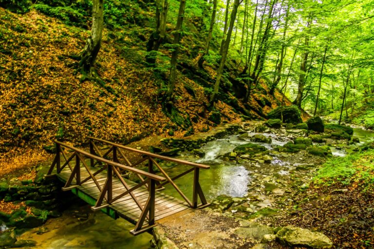 Randonnée Bulgarie en forêt Akaoka