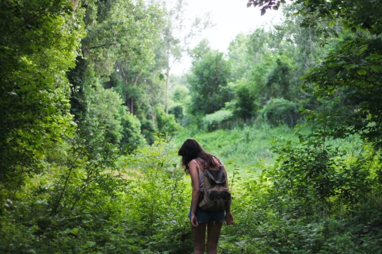 Randonnée Croatie forêt en Dalmatie