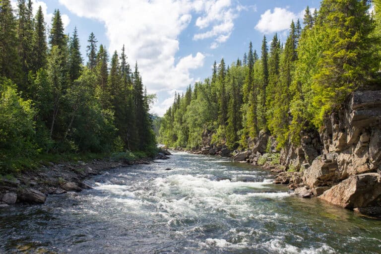 Trekking en Laponie grande rivière Akaoka