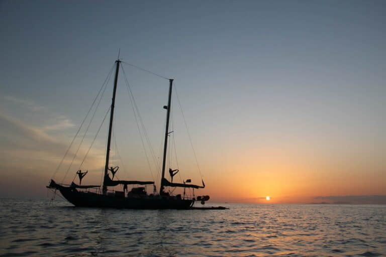 Rencontre des orques : une navette de bateau sur la mer d'Albarquel