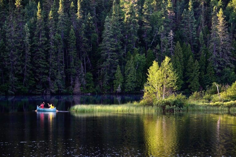 Canoë au Canada sur la rivière Mistassini bordée d'une forêt Akaoka