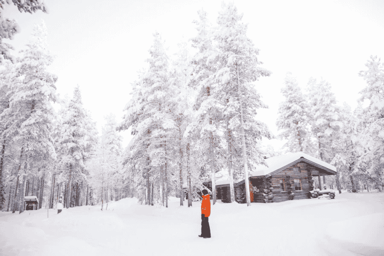 Trek Finlande : Des randonneurs séjournent dans un chalet avec une vue sur la nature