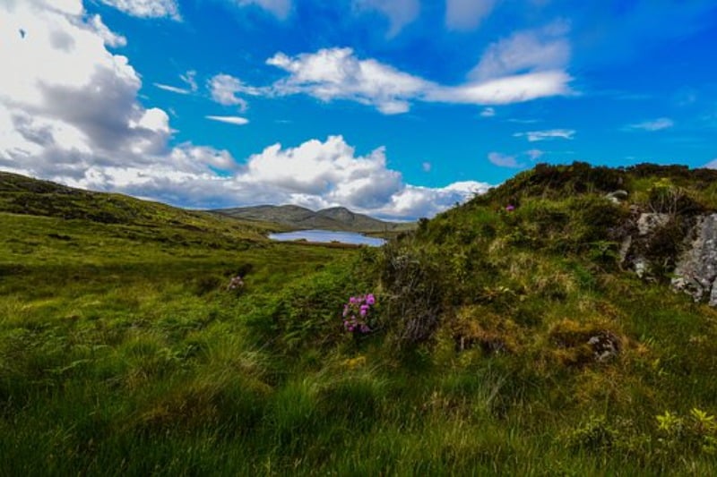 Découverte de l'Irlande aux Paysages de Connemara