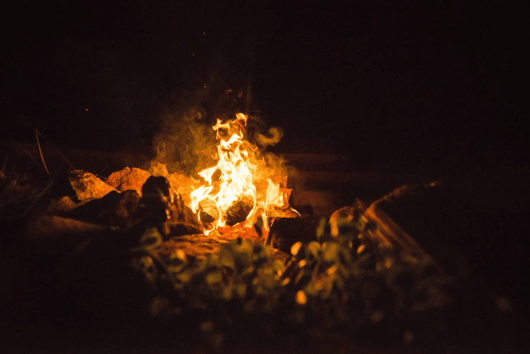 Observation Finlande de la vie sauvage lors d'un paisible et amical feu de camp à Hossa