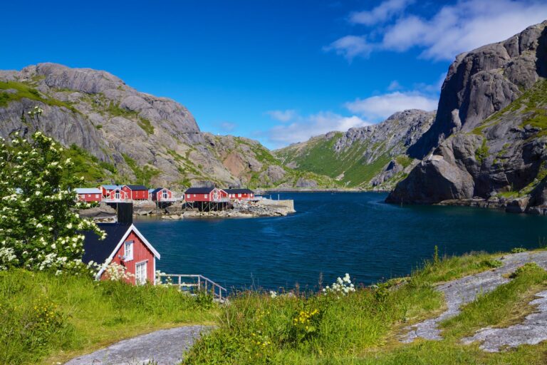 Randonnée entre fjords et montagnes au paysage d'Oslo a Bergen