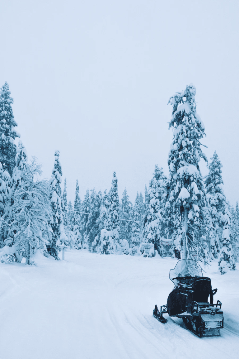 Séjour grand nord : Vue sur le ciel et les arbres lors d'une activité motoneige Finlande