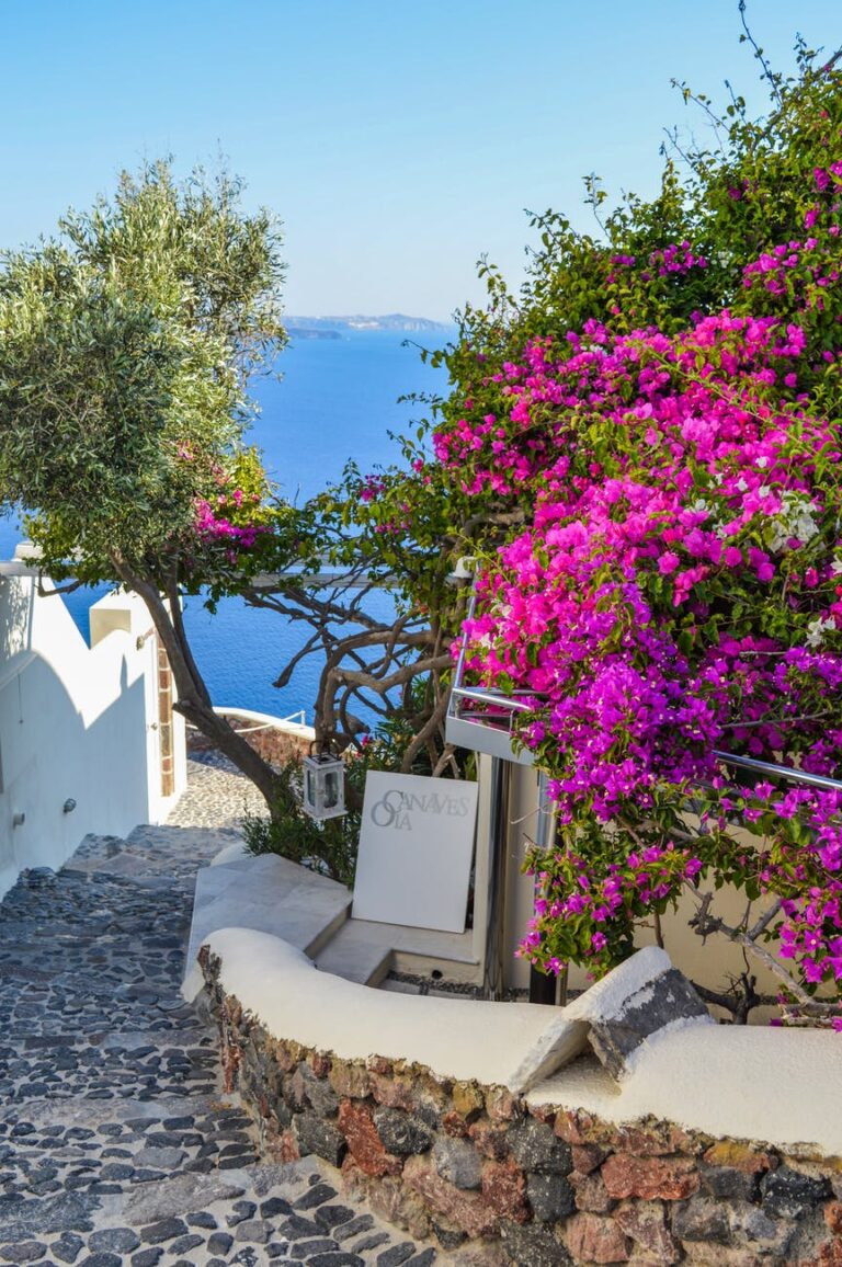 Randonnée Cyclades à Santorin Oia Akaoka