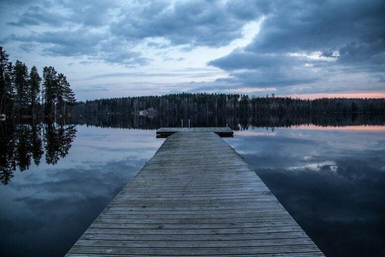 Circuit en Laponie: Paysage de la Taïga Finlandaise et son magnifique paysage durant l'hiver