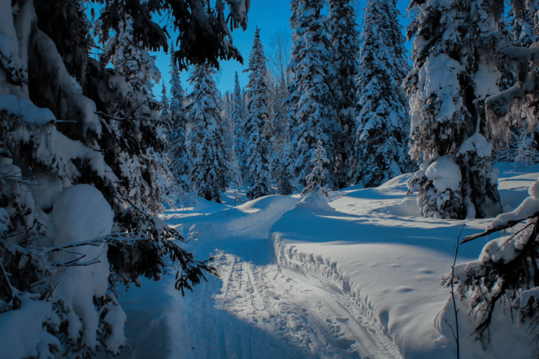 Séjour grand nord: visite et vue sur les paysages magnifique d'Utsjoski Finlande