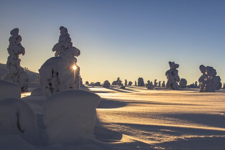 Circuit Laponie : Vue sur un paysage magnifique de la Finlande enneigé