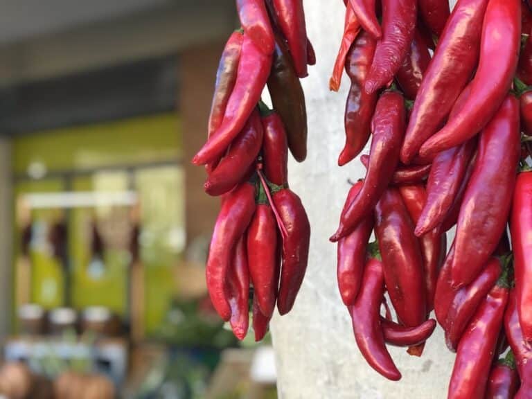 Voyage Italie Sicile gastronomie piment Akaoka