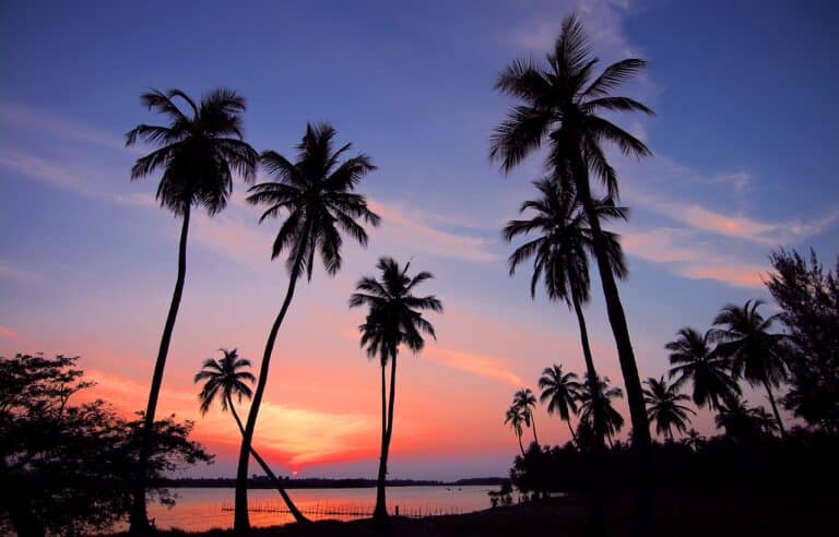 Voyage au Sri Lanka : un coucher de soleil sur la plage avec des palmiers Akaoka