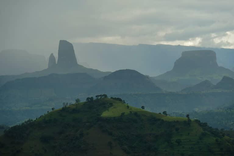 Randonnée guidée en Éthiopie dans la végétation du massif de Balé Akaoka