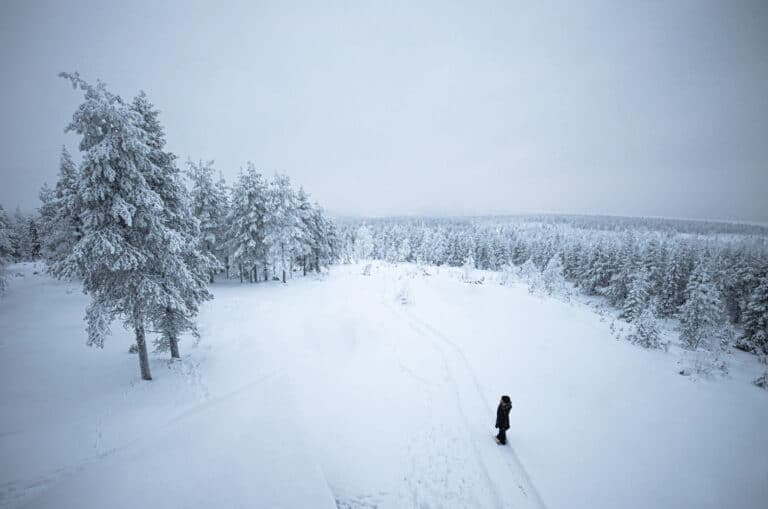 Motoneige Finlande : La vue sur la belle nature et le paysage de la majestueuse Grande forêt