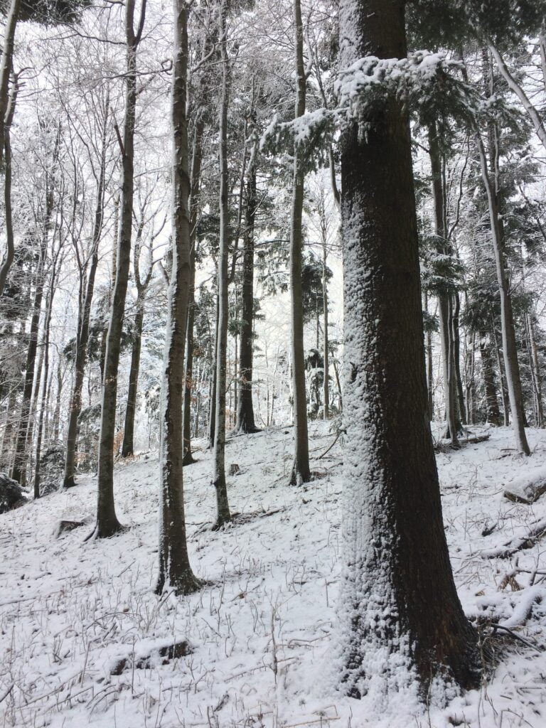 Randonnée Croatie dans la neige Akaoka