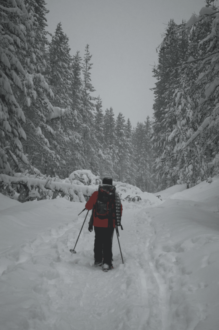 randonneur raquettes ski Finlande: Rando raquette et ski, et vue sur les paysages