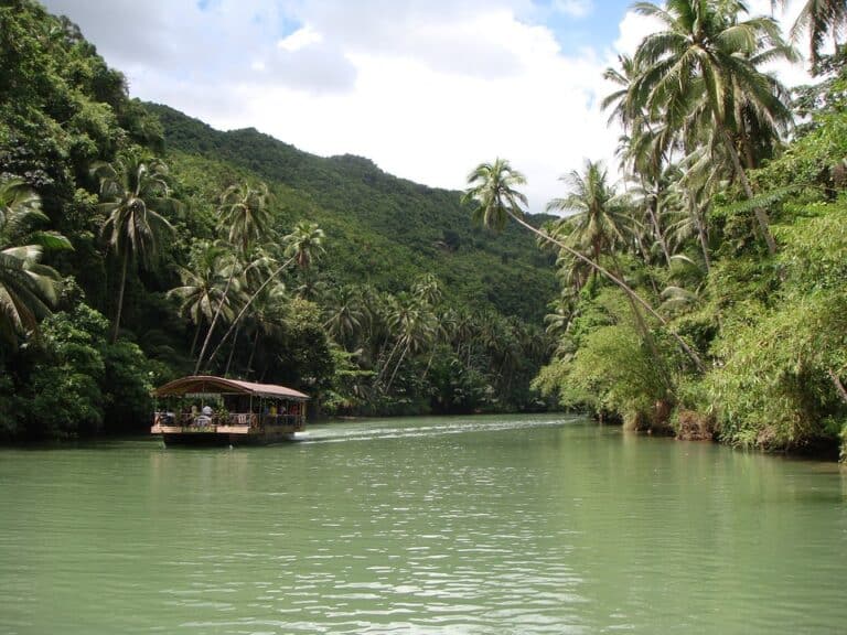 Séjour aux Philippines : un bateau navigant sur une rivière entourée de la forêt Bohol Akaoka