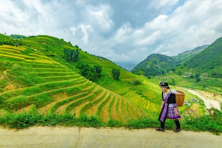 Trekking au Vietnam à travers les collines de culture de riz Akaoka