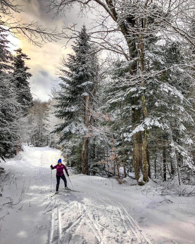 Randonnée Ski de fond et raquette en Finlande: vue sur les paysages