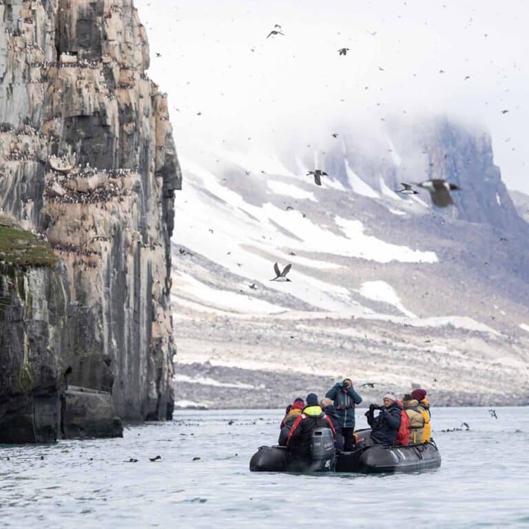 Cap au Nord : les randonneurs sur un bateau dans la mer encerclé par des oiseaux au fjord