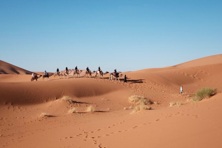 Randonnée chamelière en Mauritanie dans le désert de l'Adrar Akaoka