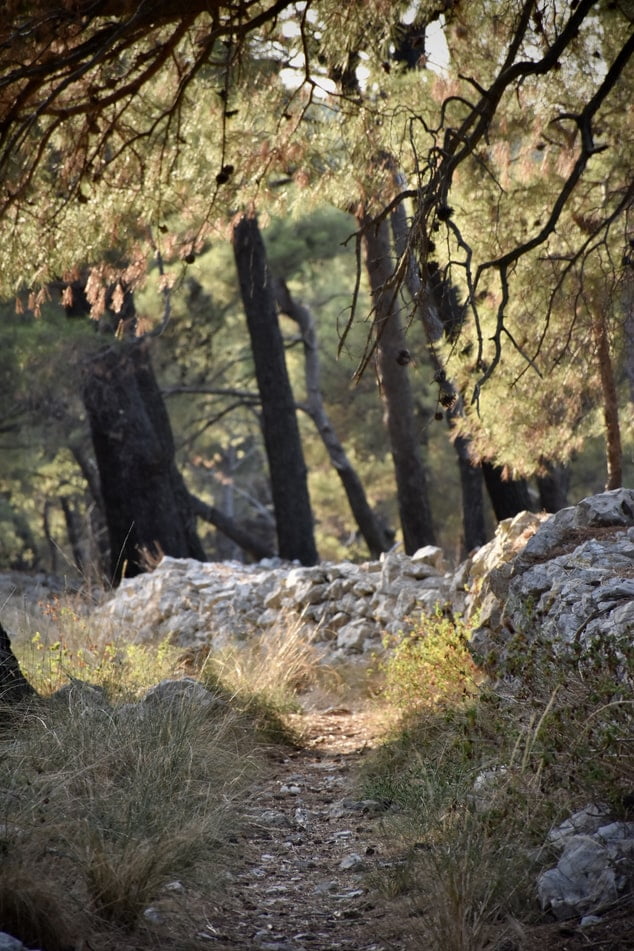 Trek Croatie en Istrie Akaoka