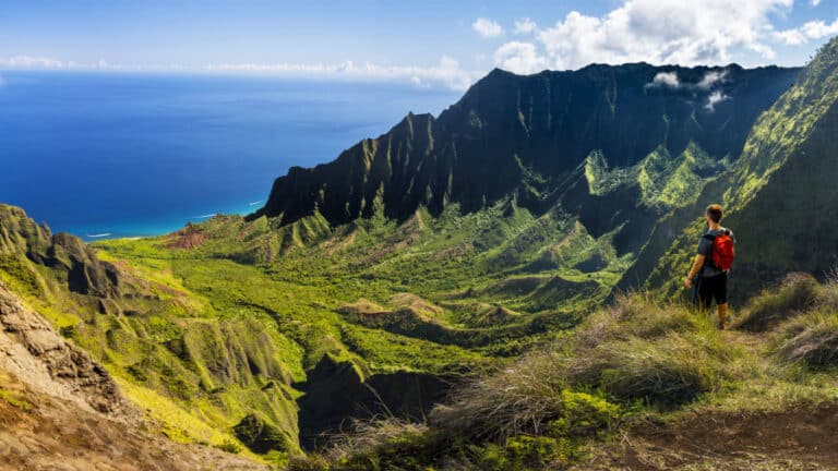 Trekking à Hawaï sur une chaîne de montagnes verdoyantes Akaoka