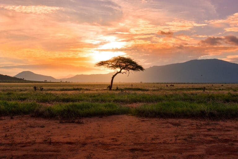 Trek au Kenya : coucher de soleil dans la réserve nationale Maasai Mara Akaoka