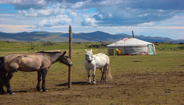 Randonnée équestre en Mongolie à Terelj Akaoka