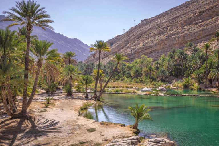 Rando Oman: un paysage magnifique à admirer avec une vue sur les palmiers et un lac omanais.