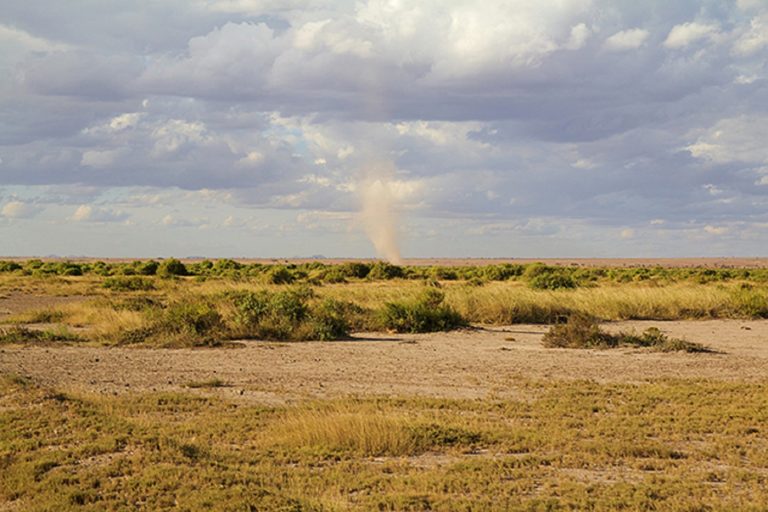 Safari au Kenya dans la réserve naturelle du Samburu Akaoka