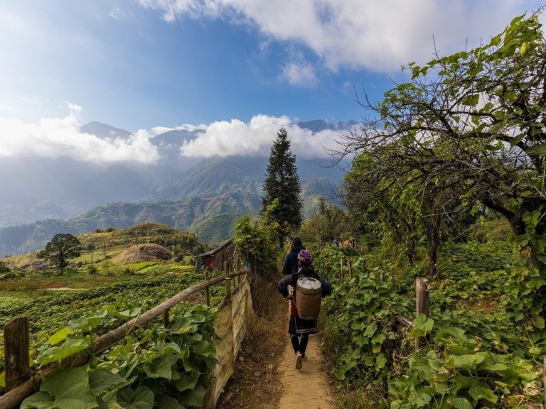 Trekking au Vietnam à Sapa sur les chemins de campagne dans la nature Akaoka