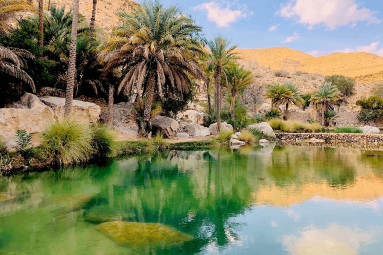 Trek Oman : Vue sur des montagnes bordées par une oasis et ses palmiers