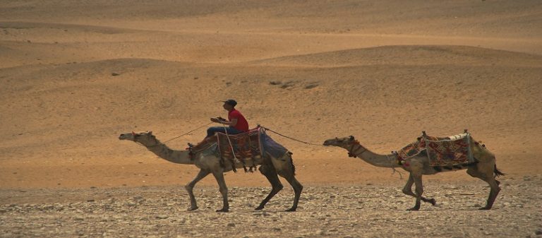 Randonnée Egypte à dos de chameau dans le désert Akaoka