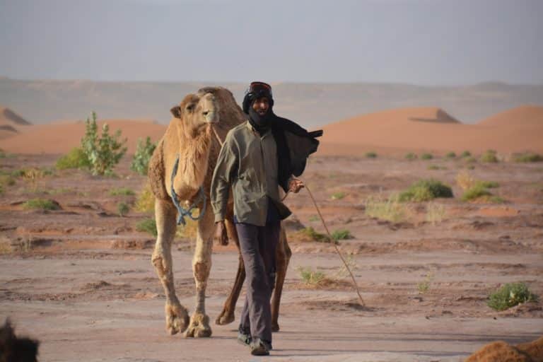 Randonnée en Mauritanie : un chameau et un nomade dans le désert Akaoka