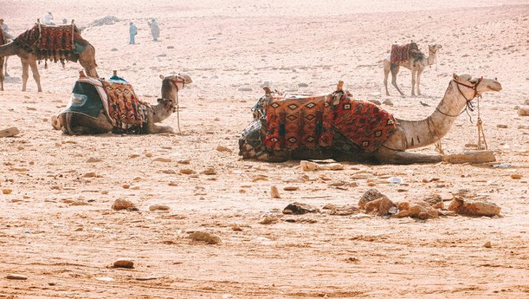 Randonnée Egypte désert oasis Al Bahariya Akaoka