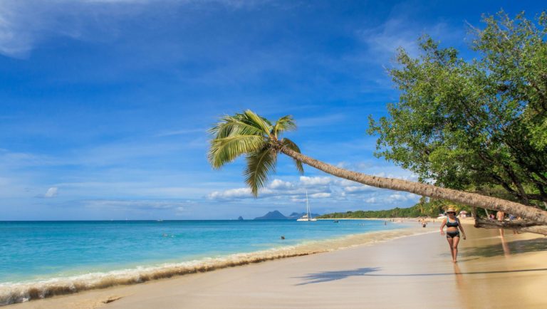 Voyage en Martinique sur une plage avec des palmiers Akaoka