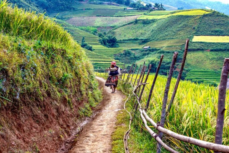 Randonnée au Vietnam sur un sentier au milieu des collines de rizières Akaoka