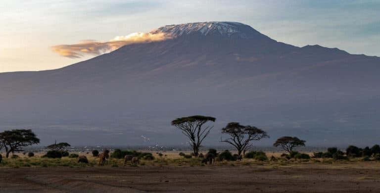 Randonnée au Kenya : vue sur le mont Kilimandjaro Akaoka