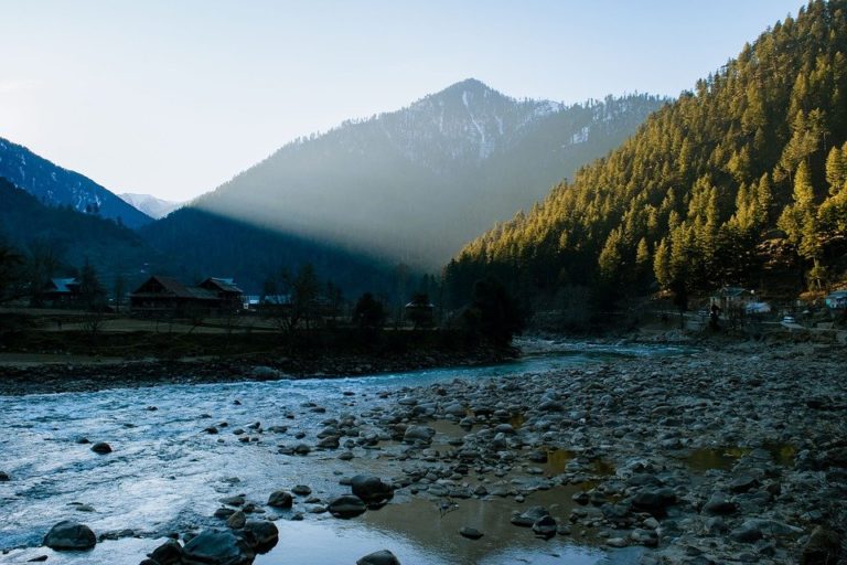 Trek en Inde : une rivière coulant le long du village et une forêt de sapins sur une montagne Akoka