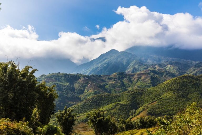 Trekking au Vietnam en pleine nature dans les grandes montagnes verdoyantes Akaoka